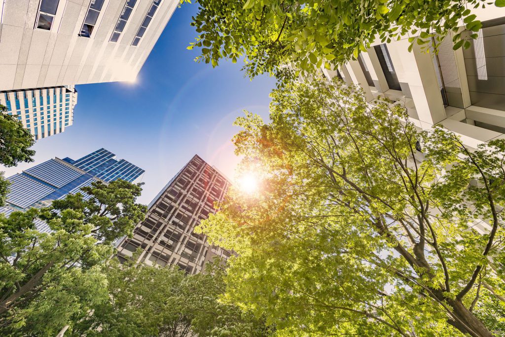 Are you ready for the future of urban mobility?
