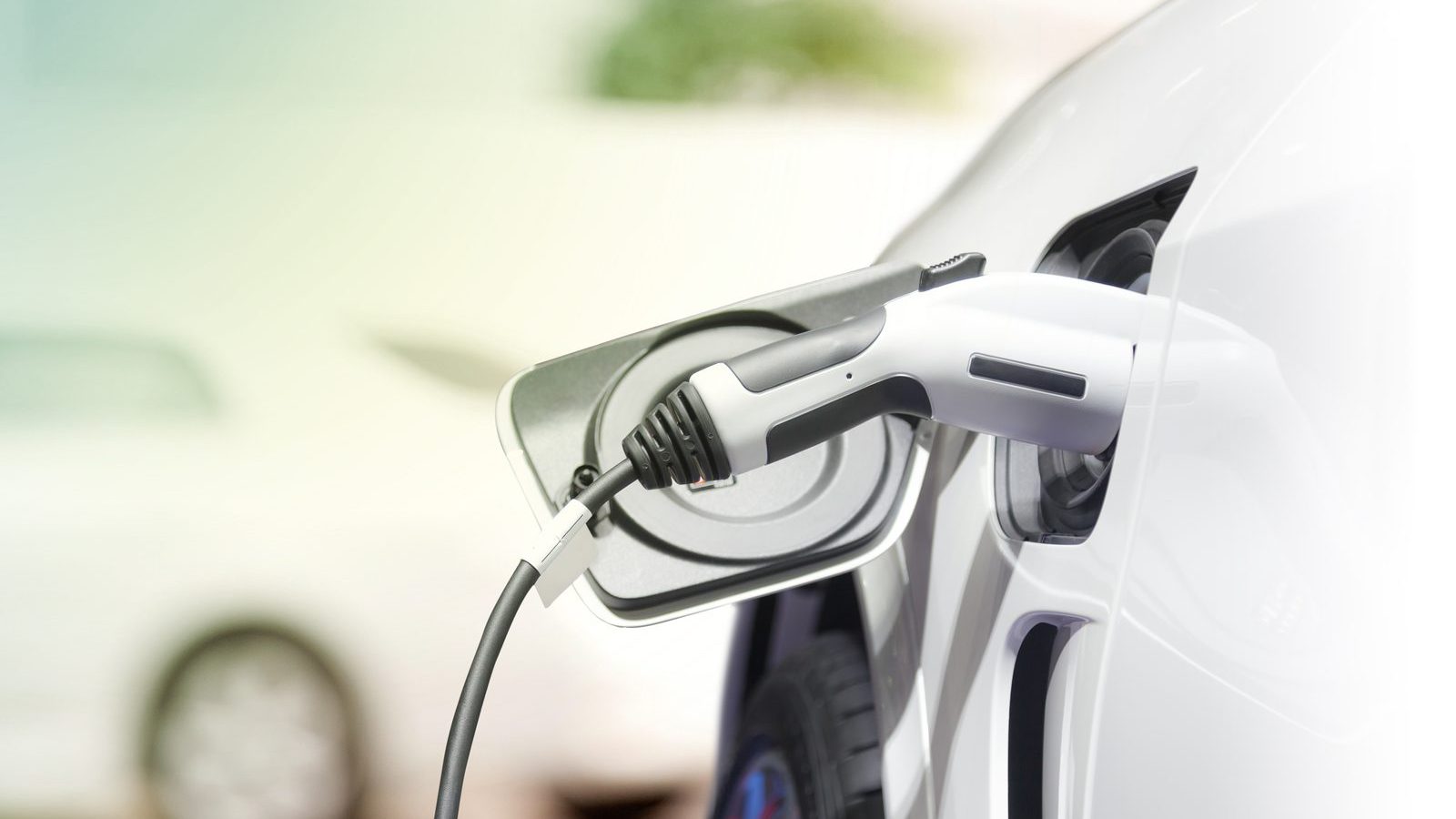 What do you need to bear in mind when sourcing an EV fleet?